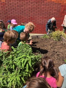 15a5b330-3de0-4eac-b899-76f860f3e9ec